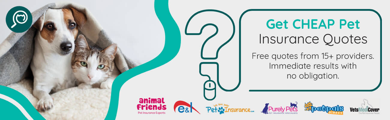 Discounts For Carers Compare Pet Discounts For Carers Over